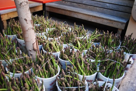 The Greig Farm Share starts with asparagus in May...