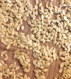 8b drying pumpkin seeds
